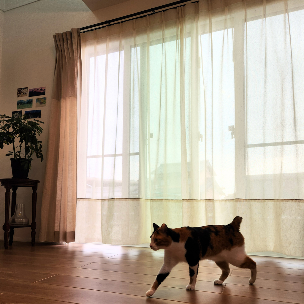 【掃き出し窓】Tufflis Pet Care 1枚入（タフリスペットケア）